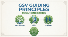 GSV Ethics Guidelines